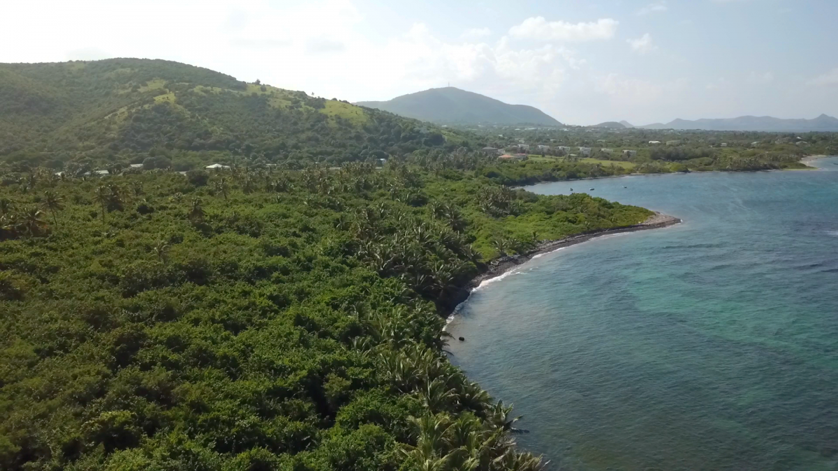 Land For Sale On Nevis