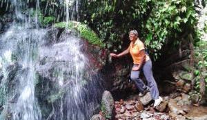 Waterfall Nevis