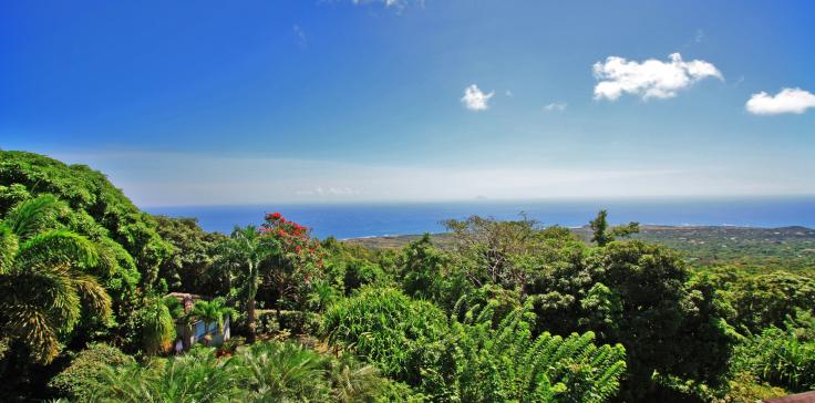 Mountain retreats in St. Kitts and Nevis