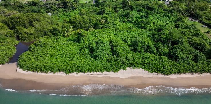 The Case for Nevis: Why Smart Investors Are Looking Beyond Barbados and Cayman