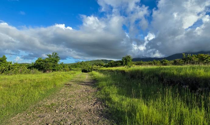 Shaws Estate Land Lot