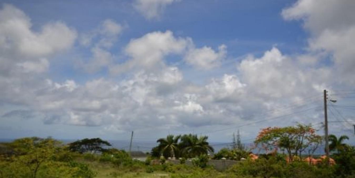 Montpelier Estate Land Nevis Style Realty