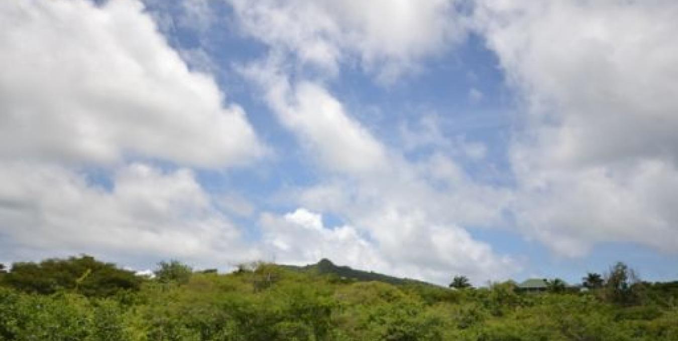 Montpelier Estate Land Nevis Style Realty