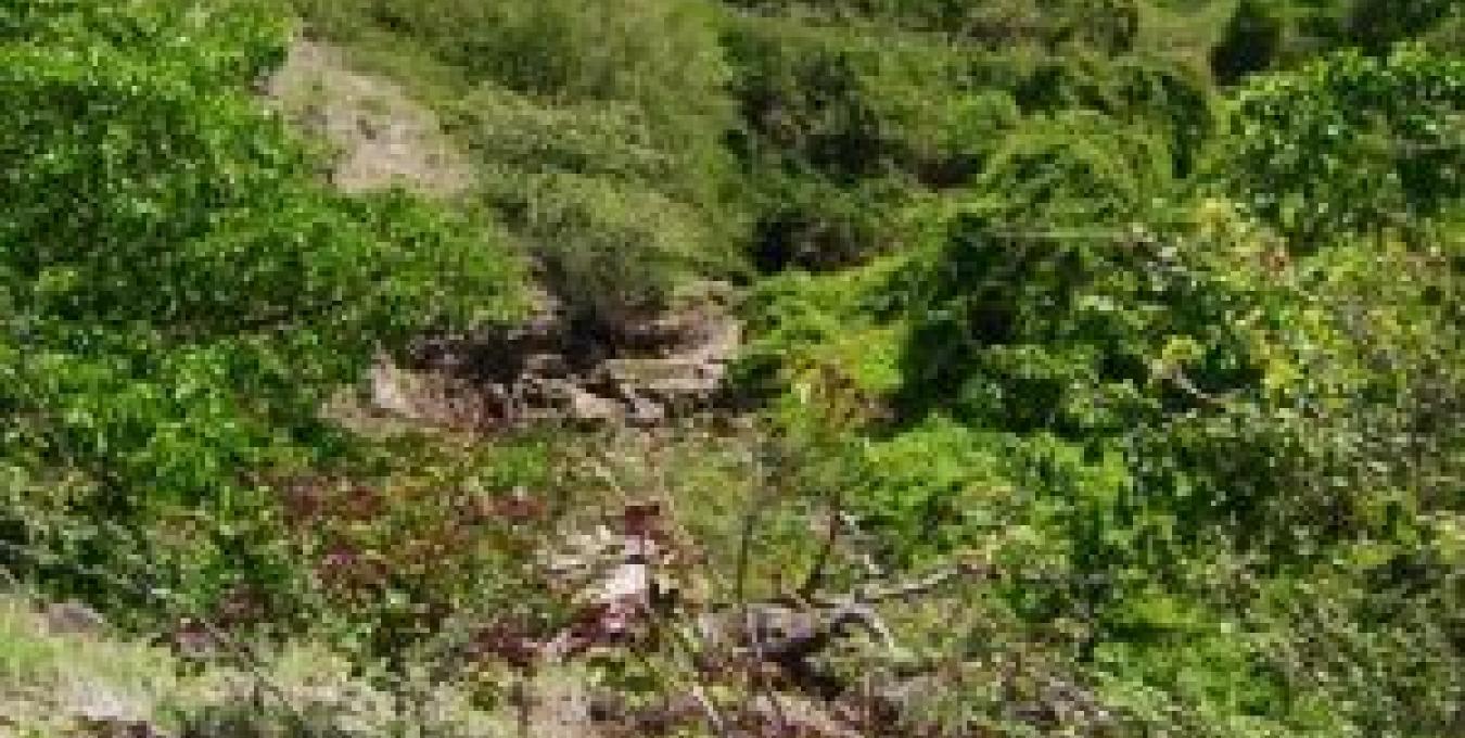 Long Point 1.39 Acres