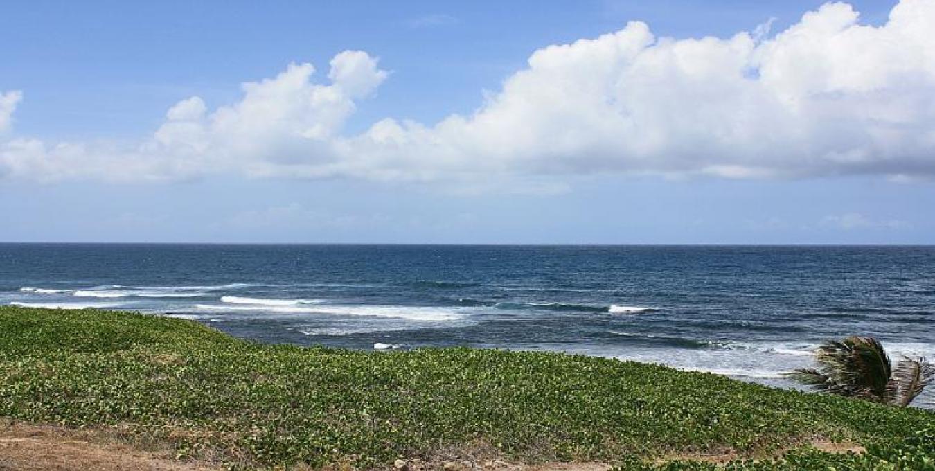 Oceanfront Parcel Oceanfront Parcel