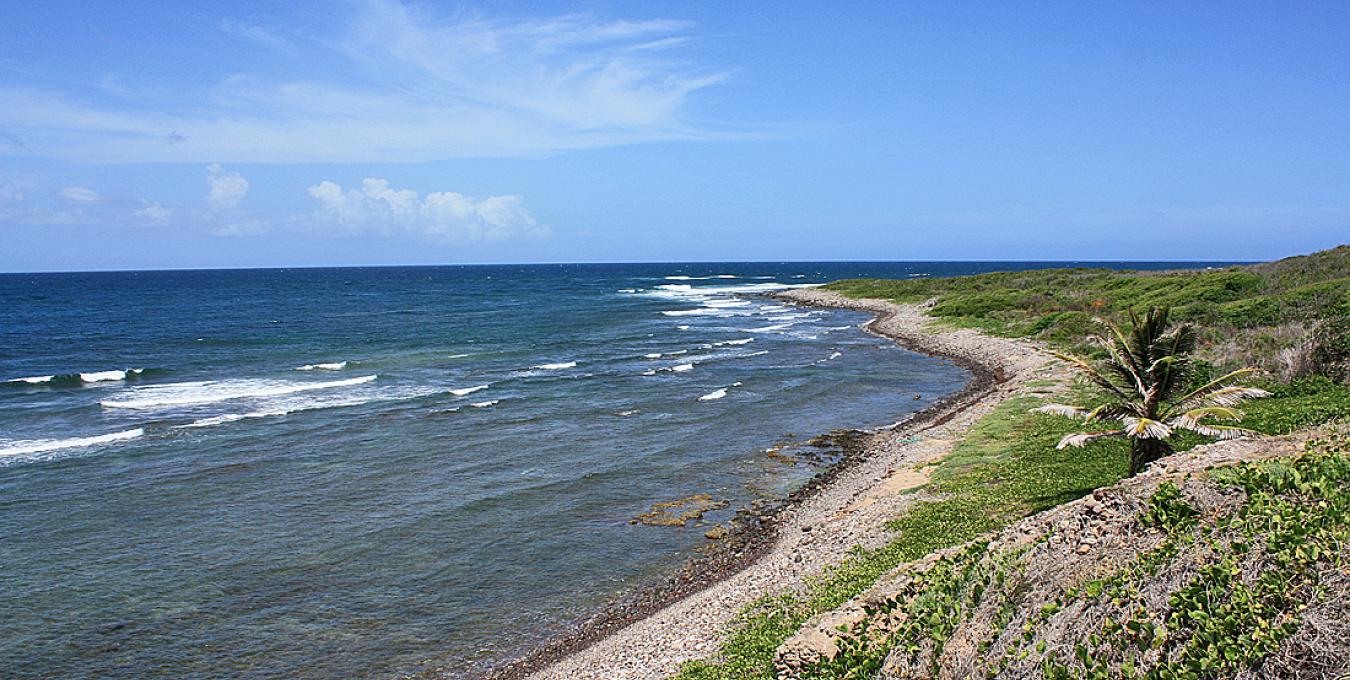 Oceanfront Parcel Oceanfront Parcel