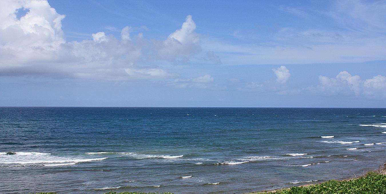 Oceanfront Parcel Oceanfront Parcel