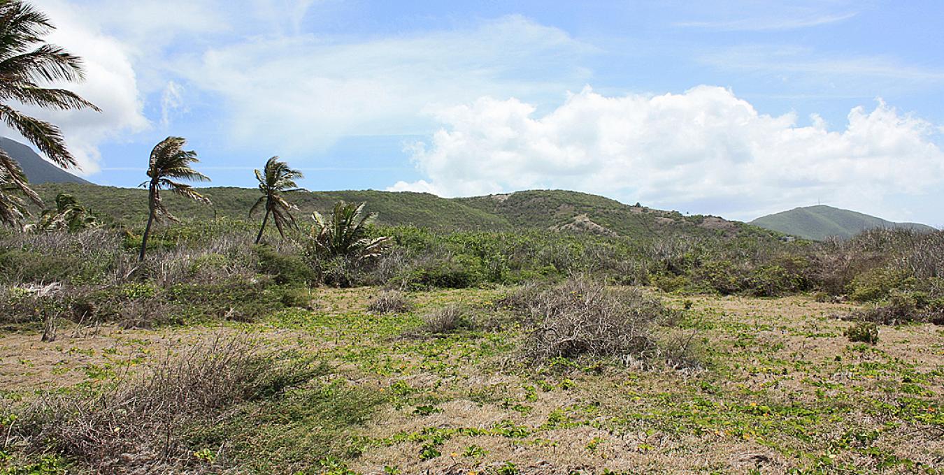 Oceanfront Parcel Oceanfront Parcel