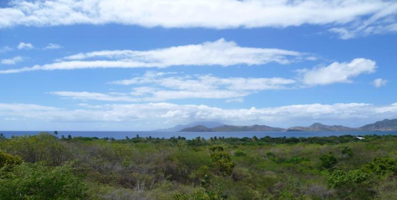 Clifton Estate - Lot