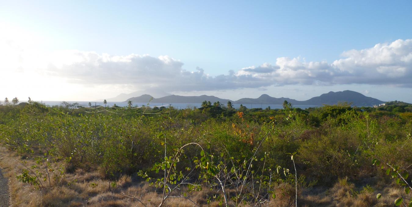 Clifton Estate - Lot