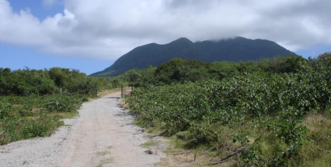 Clifton Estate - Lot