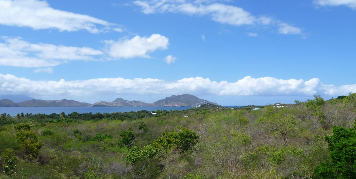 Clifton Estate - Lot