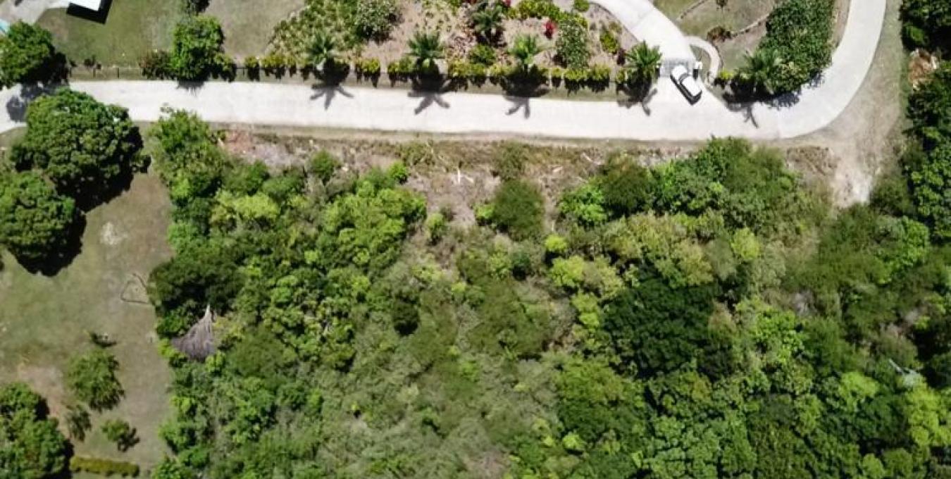 Fern Hill Lot - AB SOLD Fern Hill Lot - AB SOLD