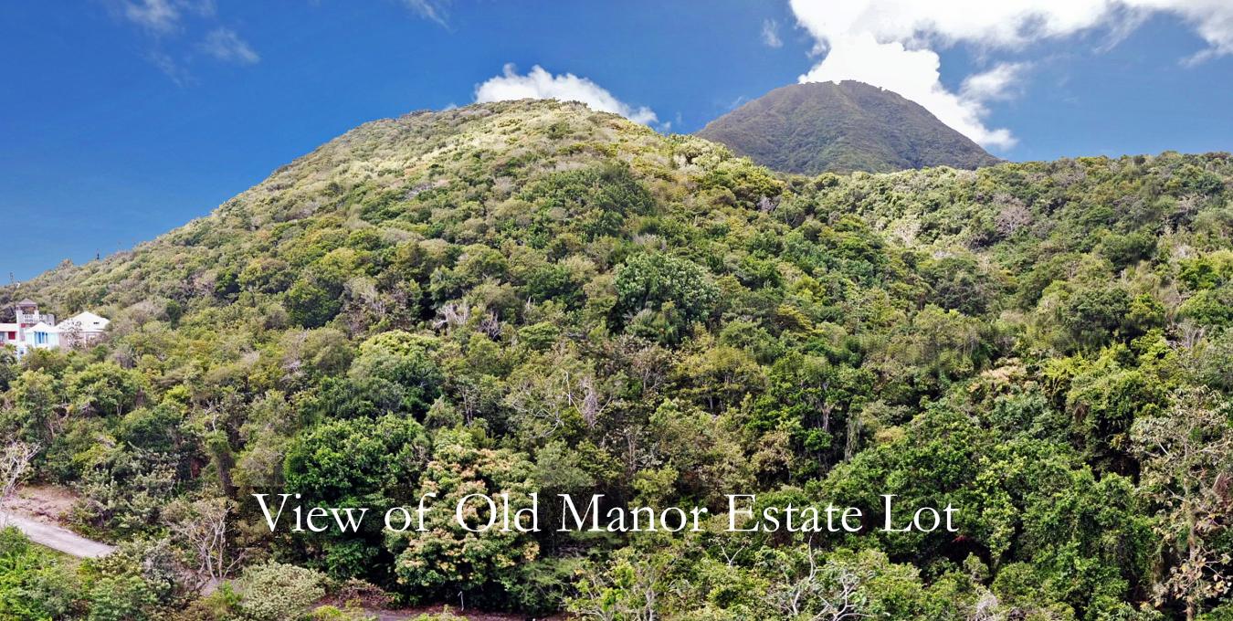 Old Manor Estate Lot Old Manor Estate Lot
