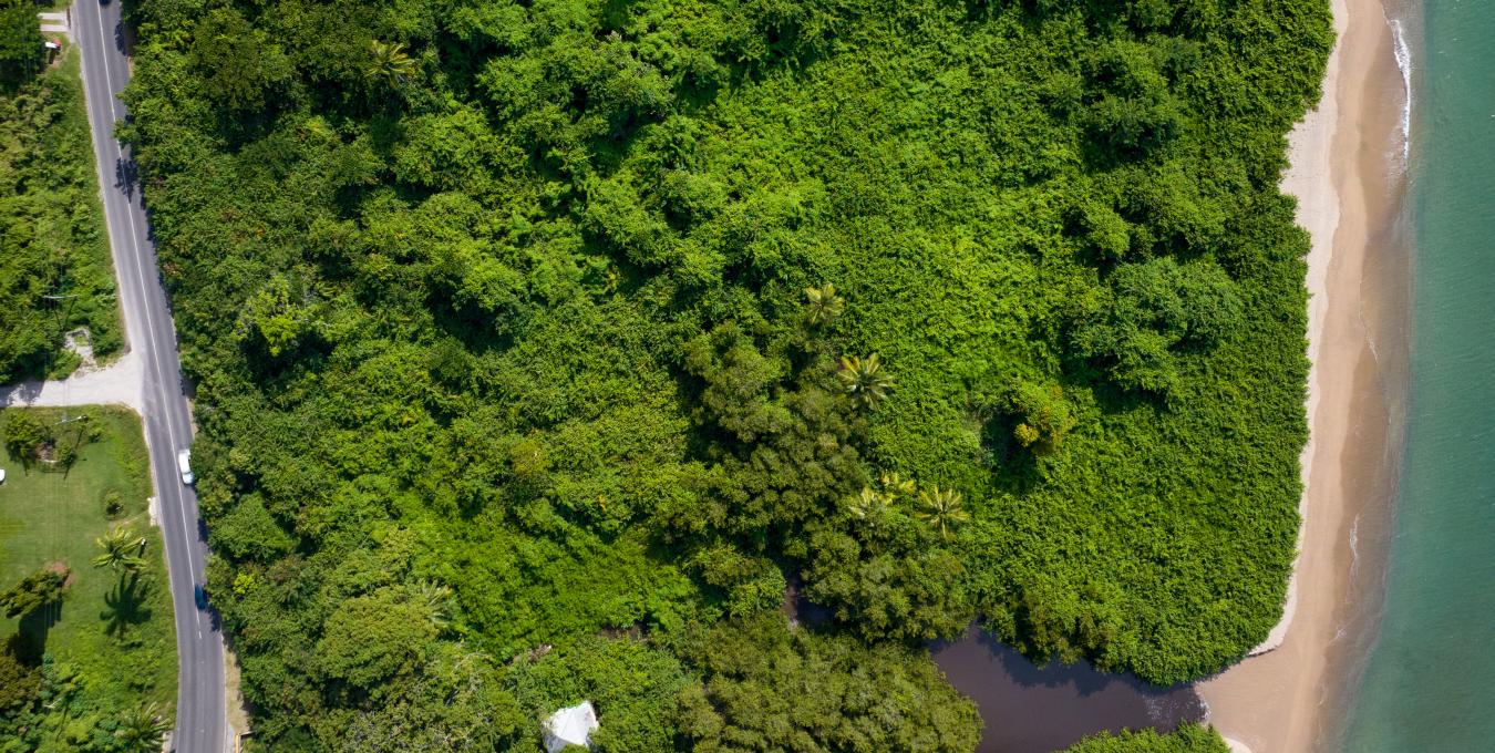 Beachfront Land - 3.15 Acres Beachfront Land - 3.15 Acres