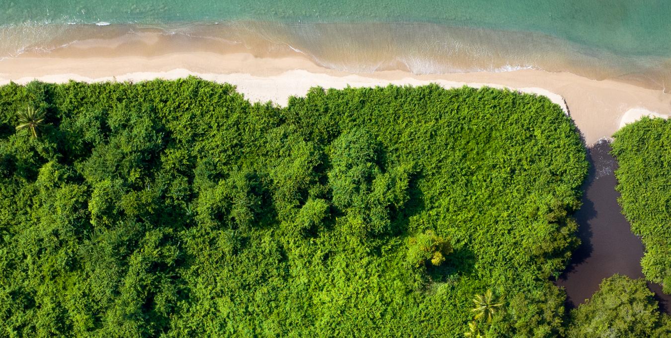 Beachfront Land - 3.15 Acres Beachfront Land - 3.15 Acres