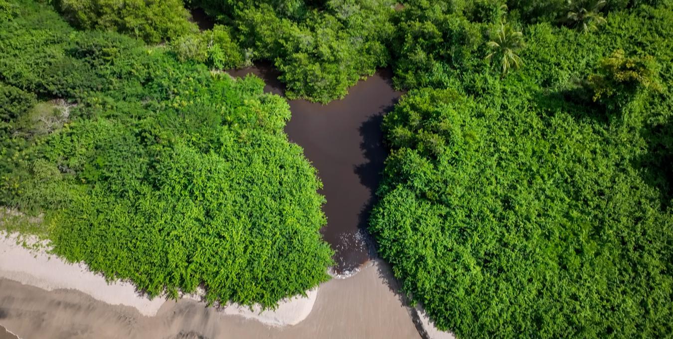 Beachfront Land - 3.15 Acres Beachfront Land - 3.15 Acres