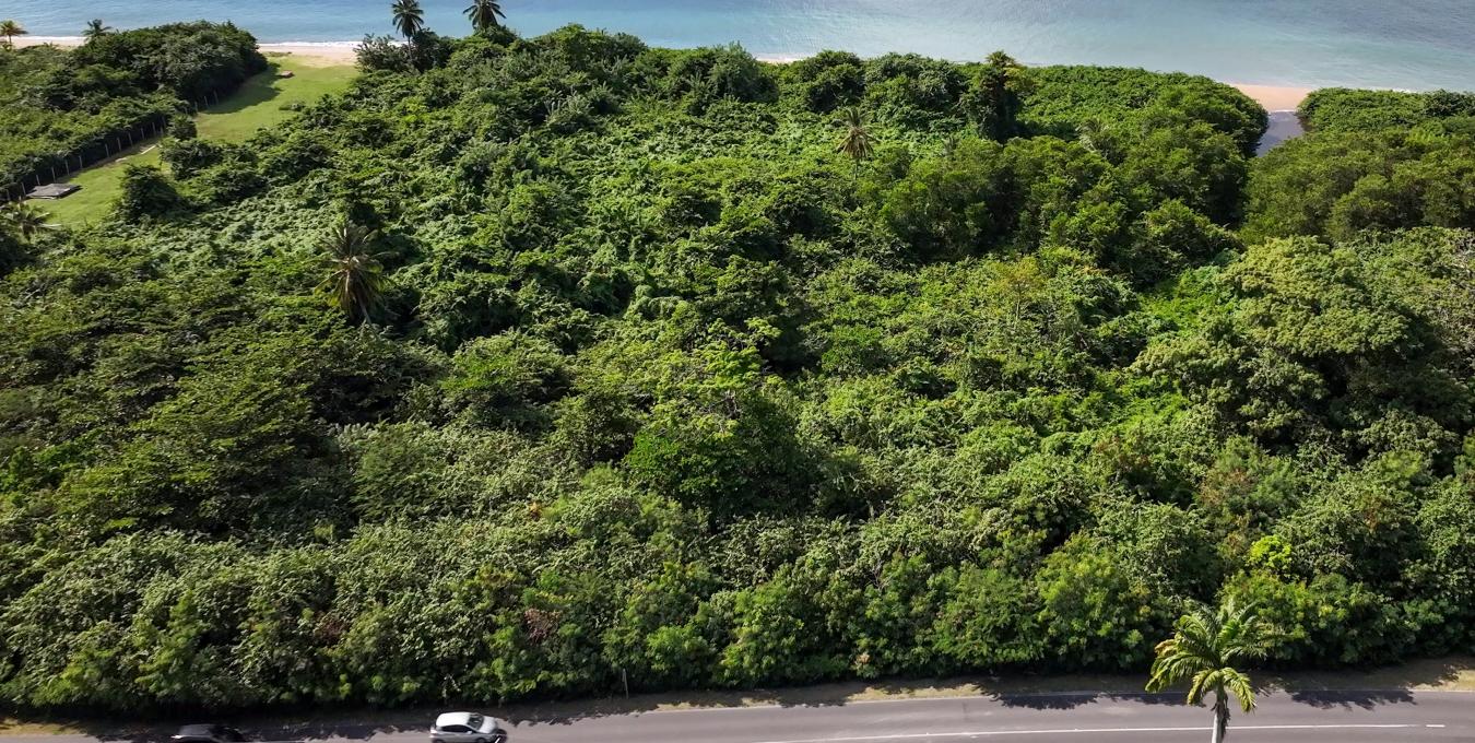 Beachfront Land - 3.15 Acres Beachfront Land - 3.15 Acres