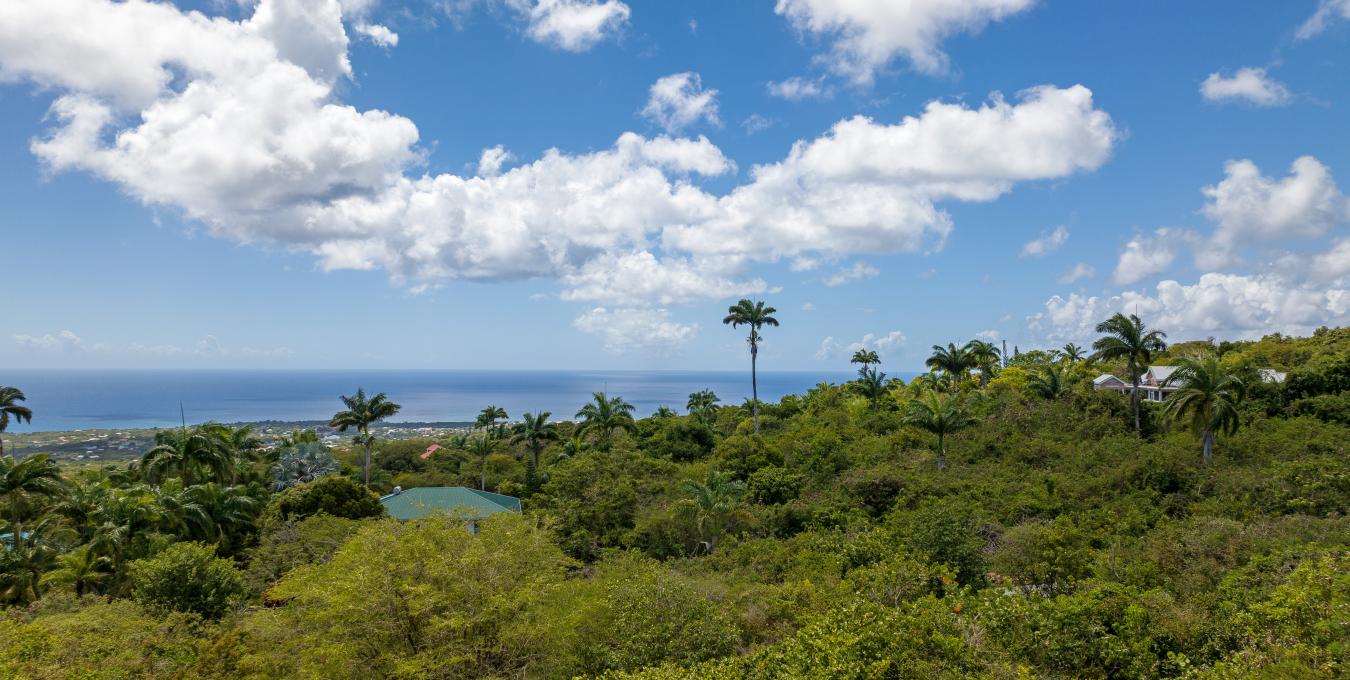 Morning Star | 4 Hillside Lots with Views