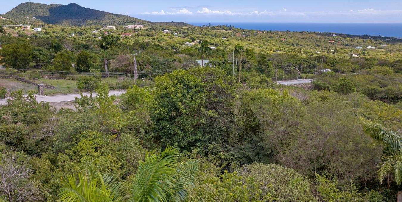 Morning Star | 4 Hillside Lots with Views