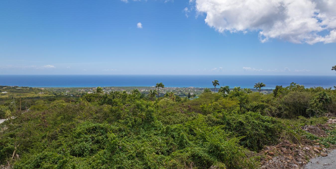 Morning Star | 4 Hillside Lots with Views