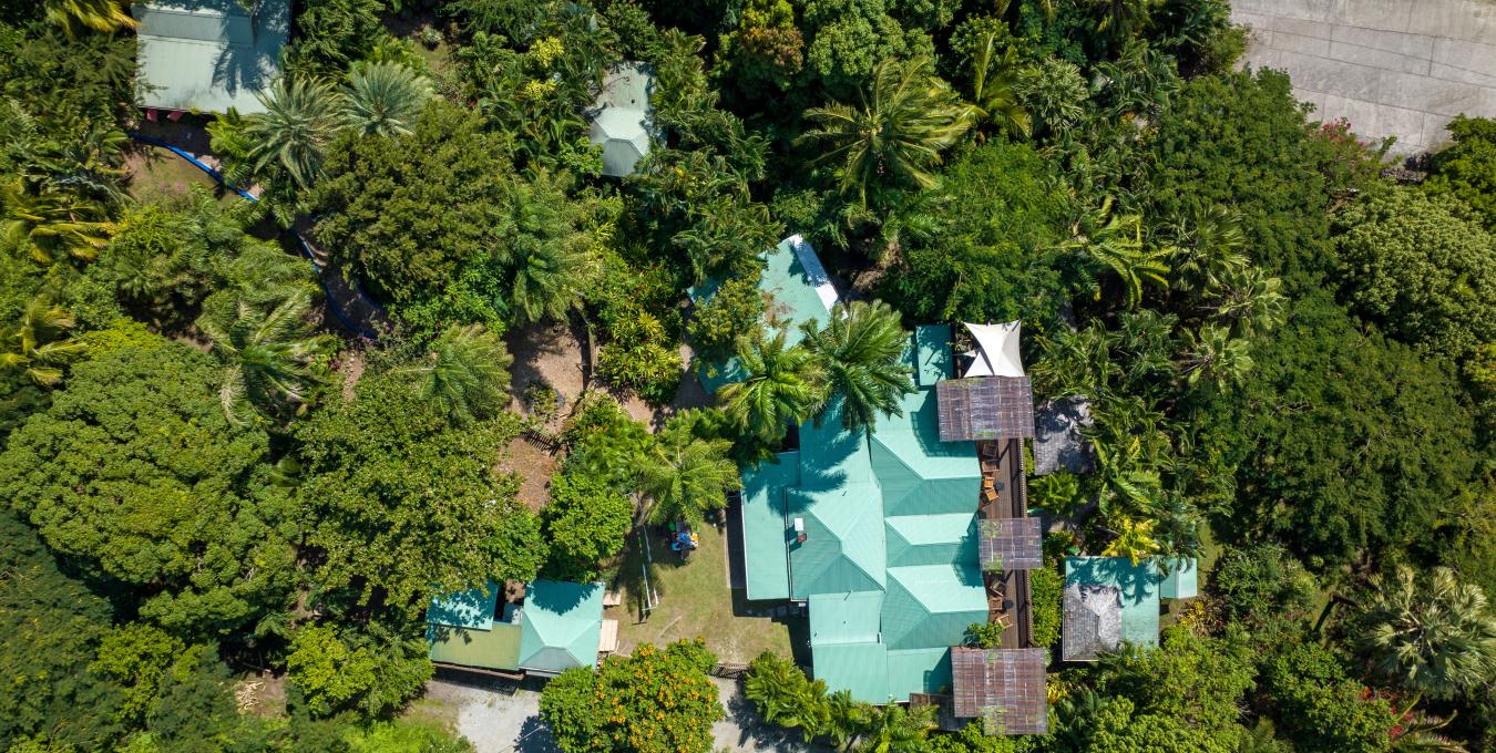 Bananas - Hospitality Investment