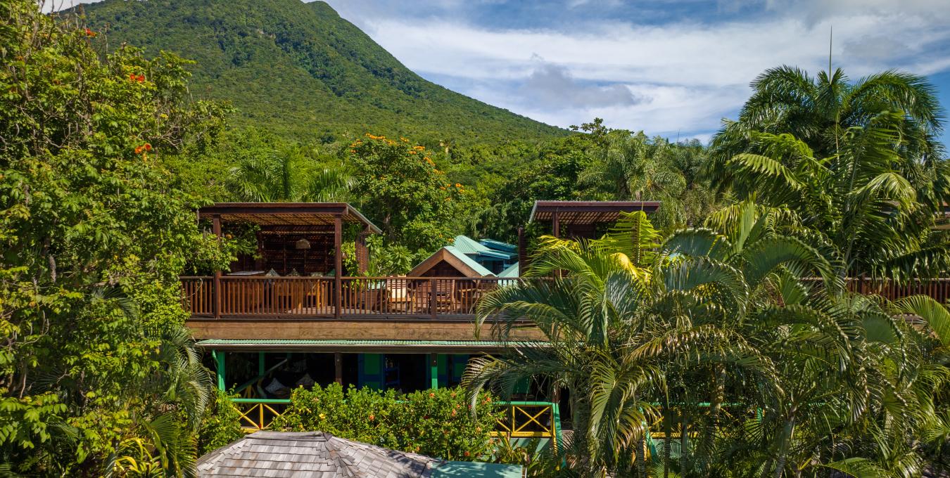 Bananas - Hospitality Investment