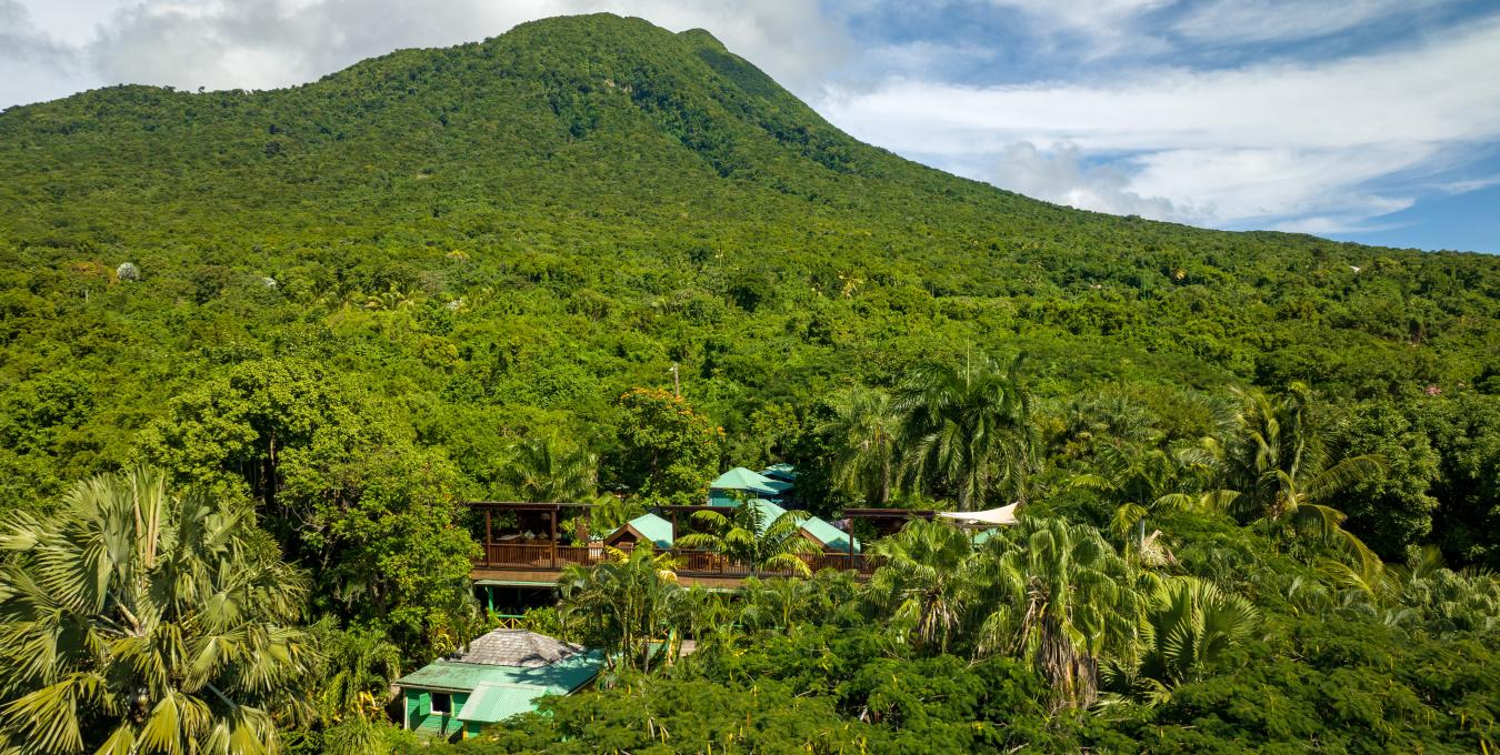 Bananas - Hospitality Investment