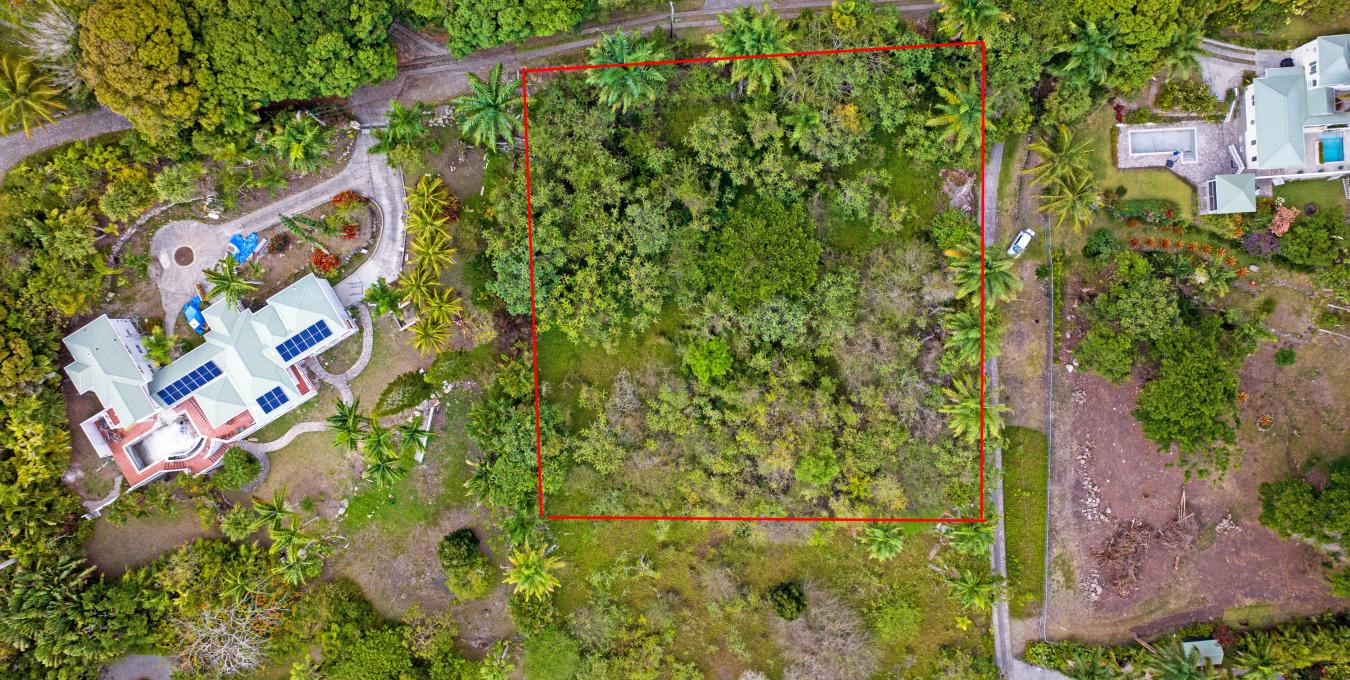 Zetland Corner Lot Zetland Corner Lot