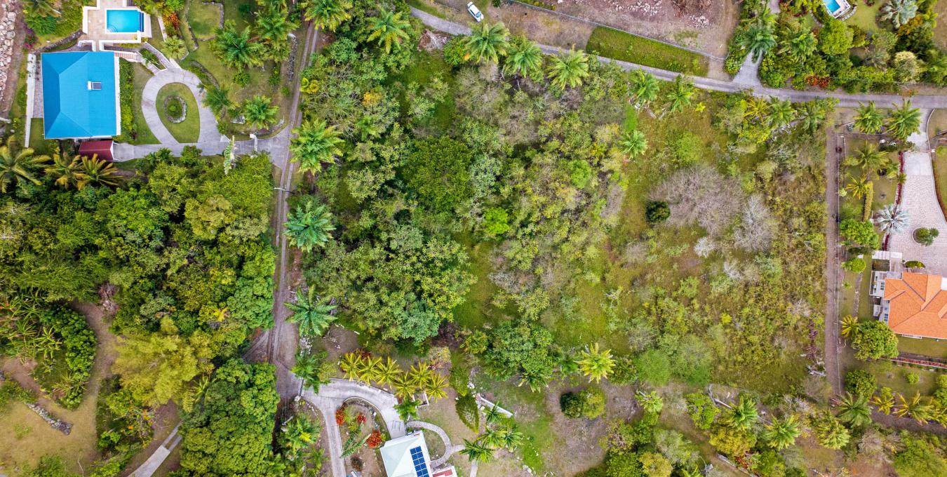 Zetland Corner Lot Zetland Corner Lot