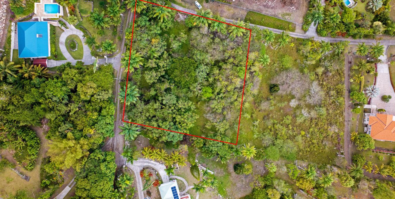 Zetland Corner Lot Zetland Corner Lot