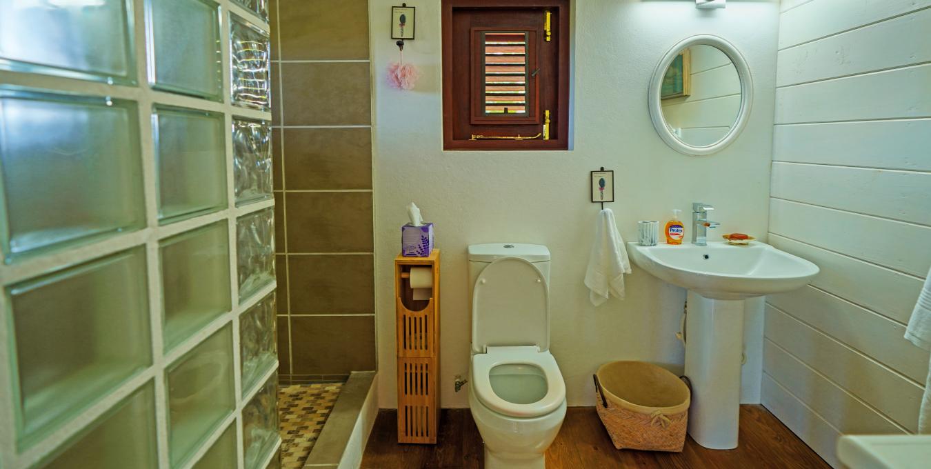 Zetland Zen Zetland Zen