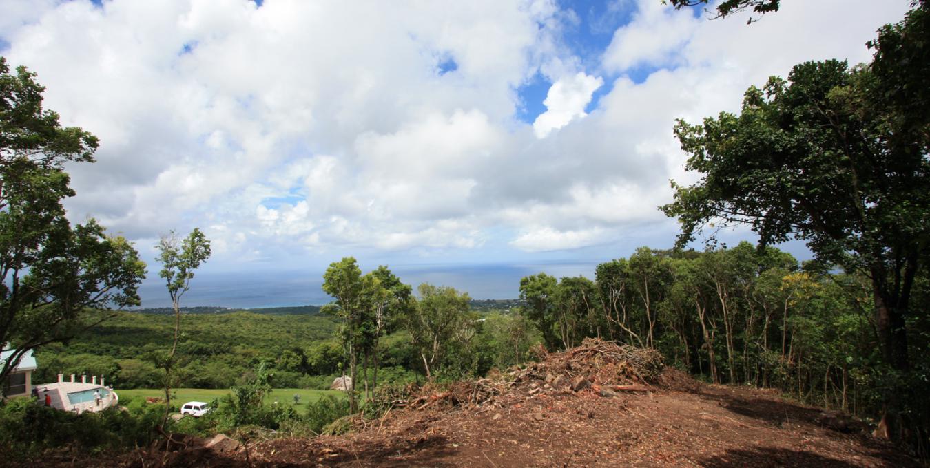 Fern Hill - Lot A6 Fern Hill - Lot A6