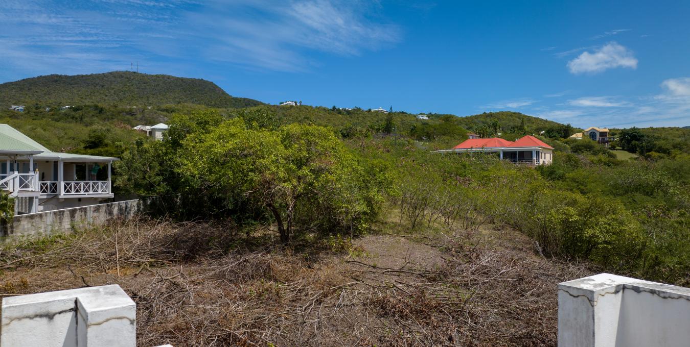 Fixer Upper | Home | Nevis