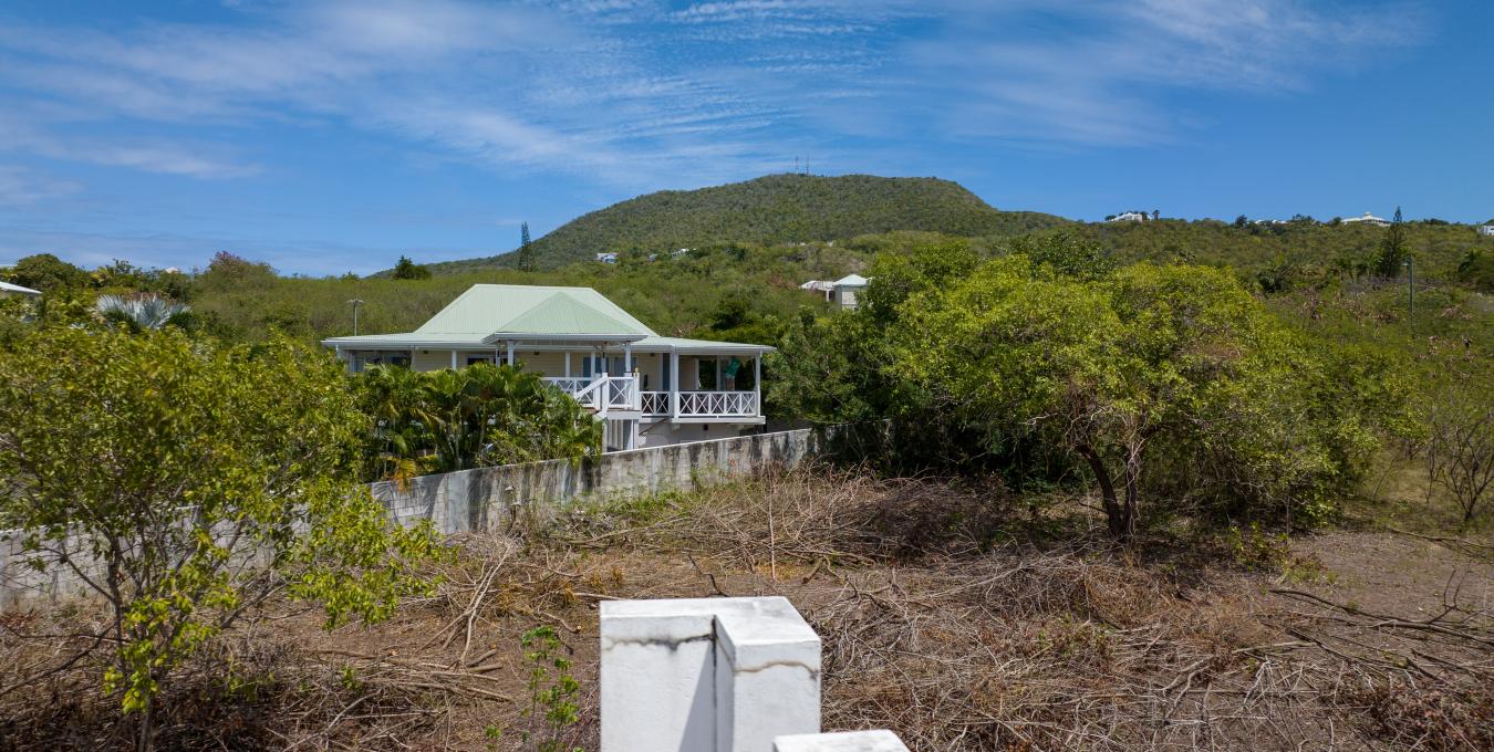Fixer Upper | Home | Nevis