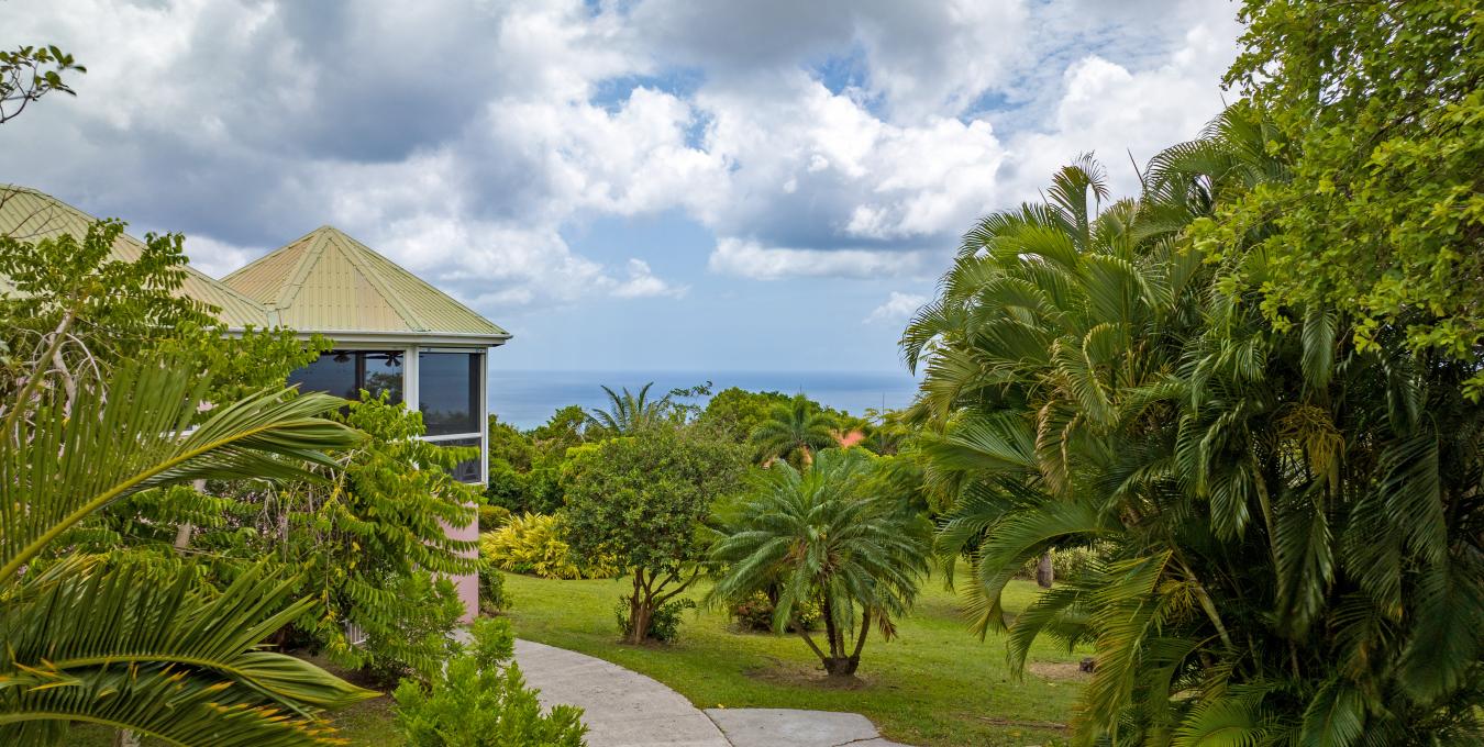 Orchard View