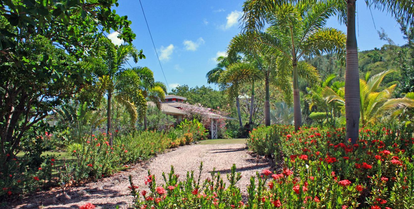 Villa Flamboyant