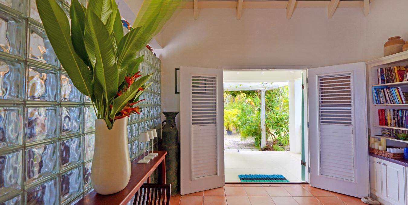 Morning Glory Morning Glory