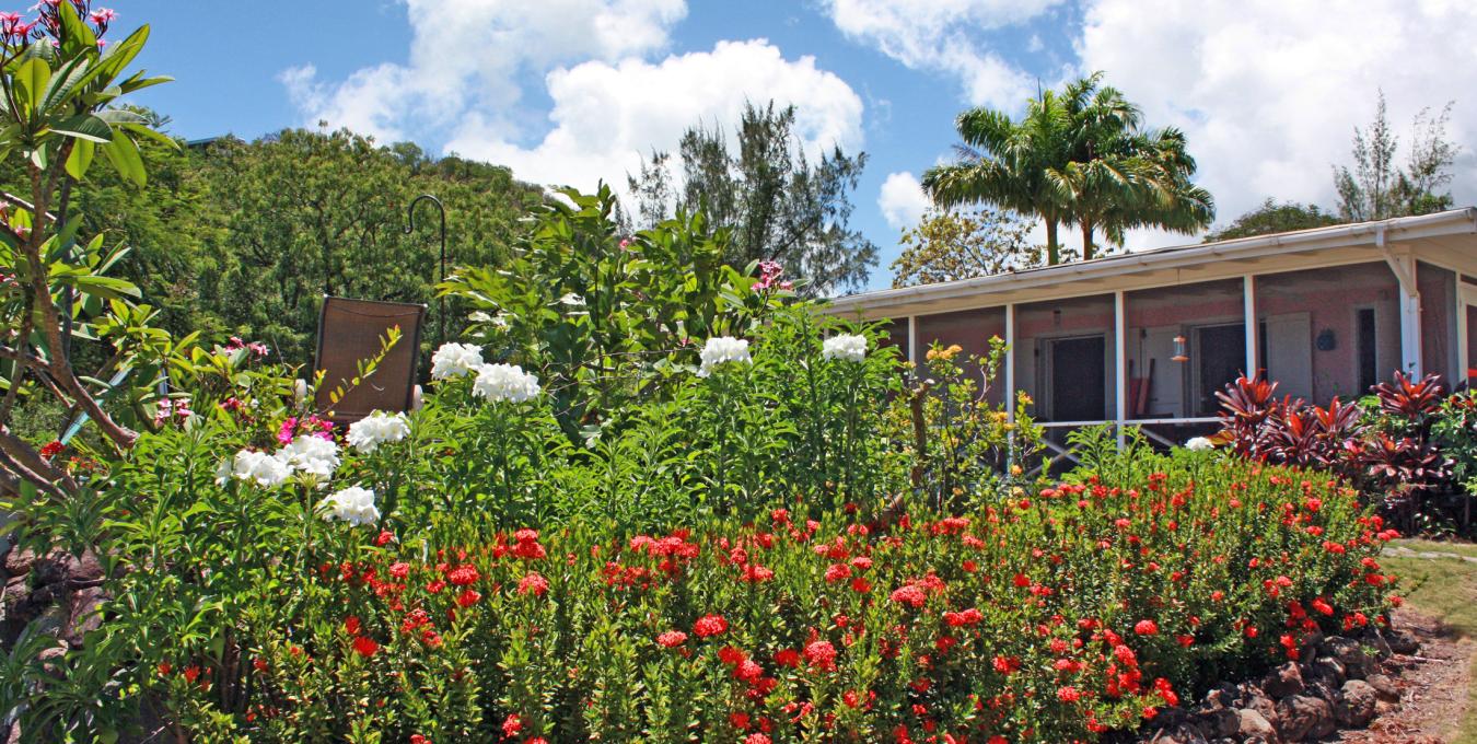 Villa Flamboyant