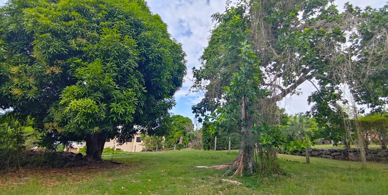 Fern Hill Gardens Lot Fern Hill Gardens Lot