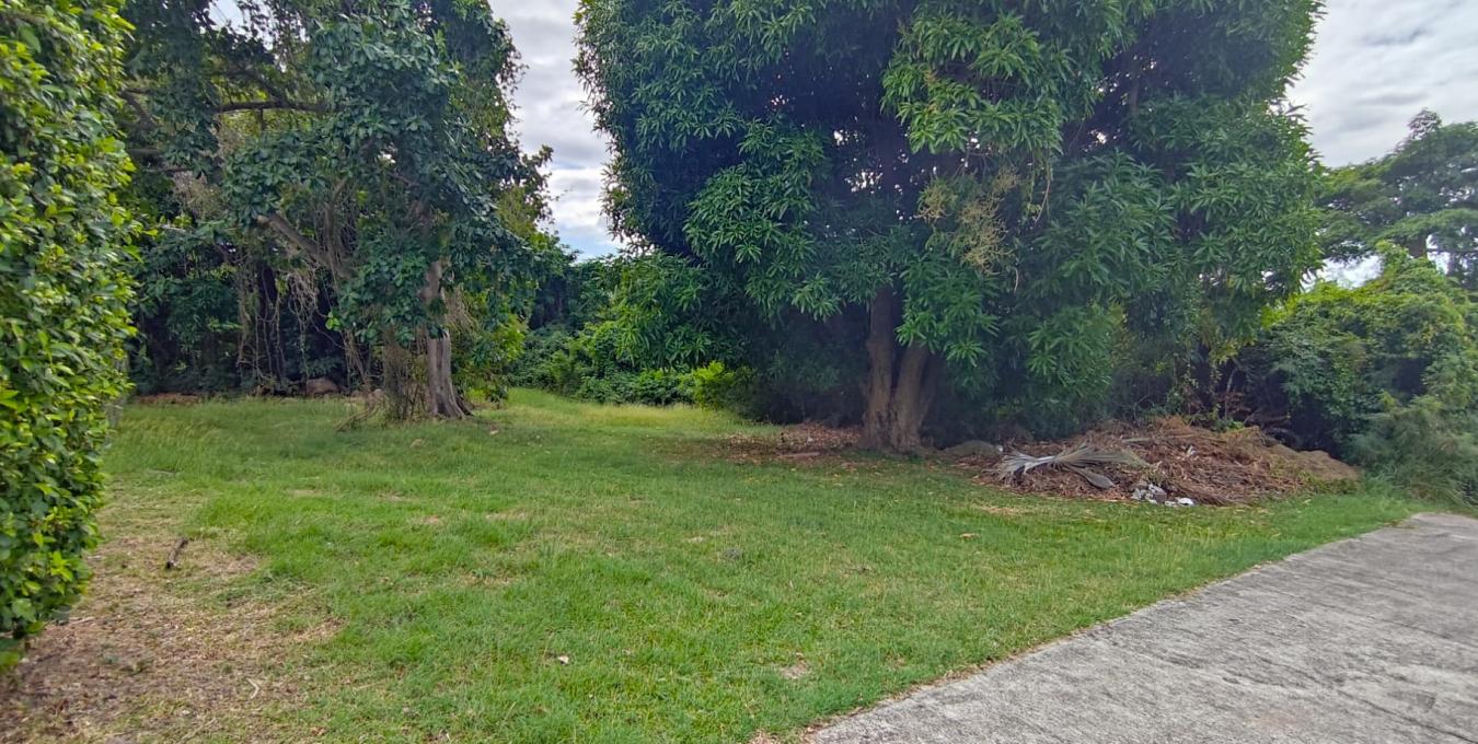 Fern Hill Gardens Lot Fern Hill Gardens Lot