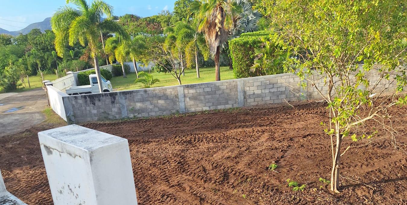 Fixer Upper | Home | Nevis