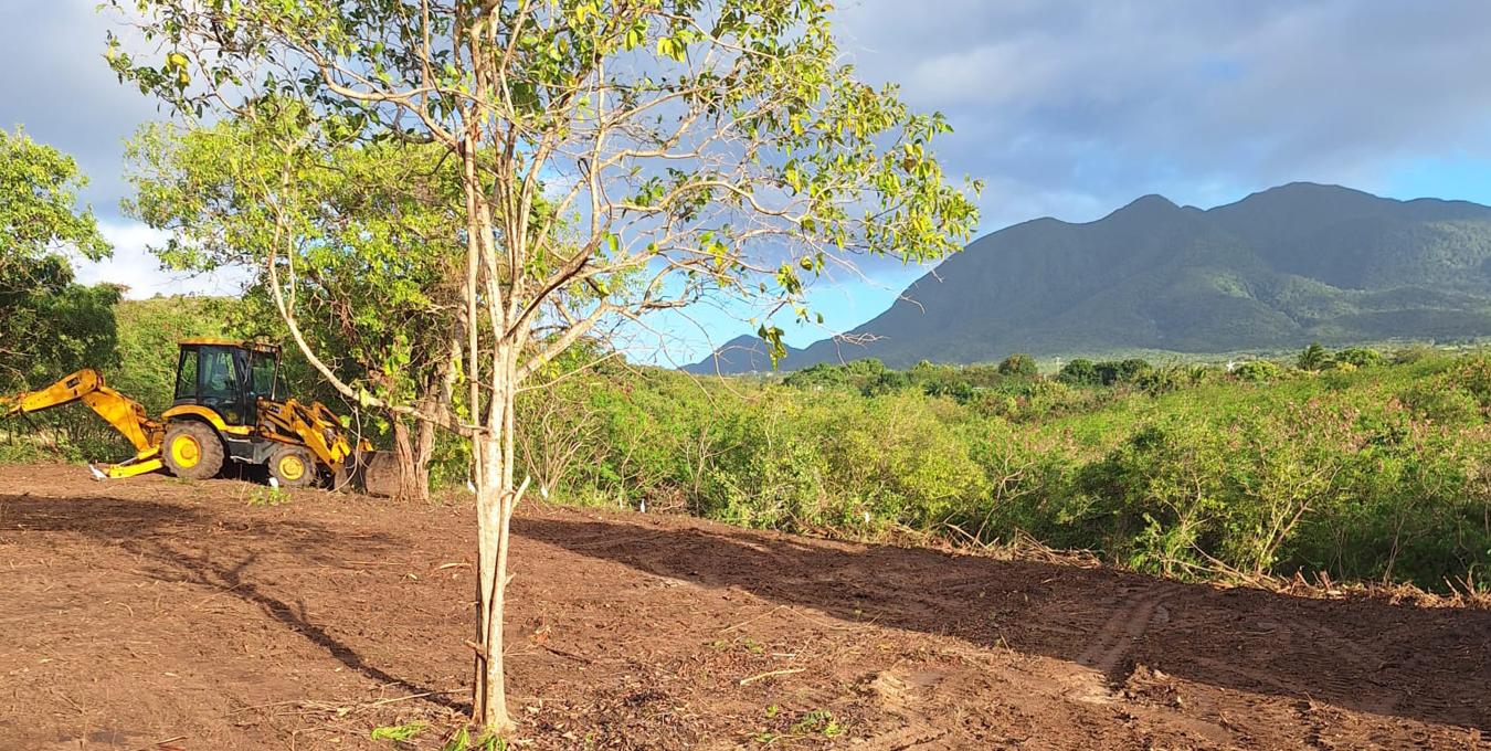 Fixer Upper | Home | Nevis