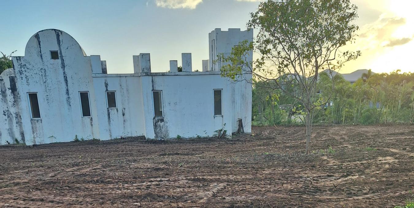 Fixer Upper | Home | Nevis