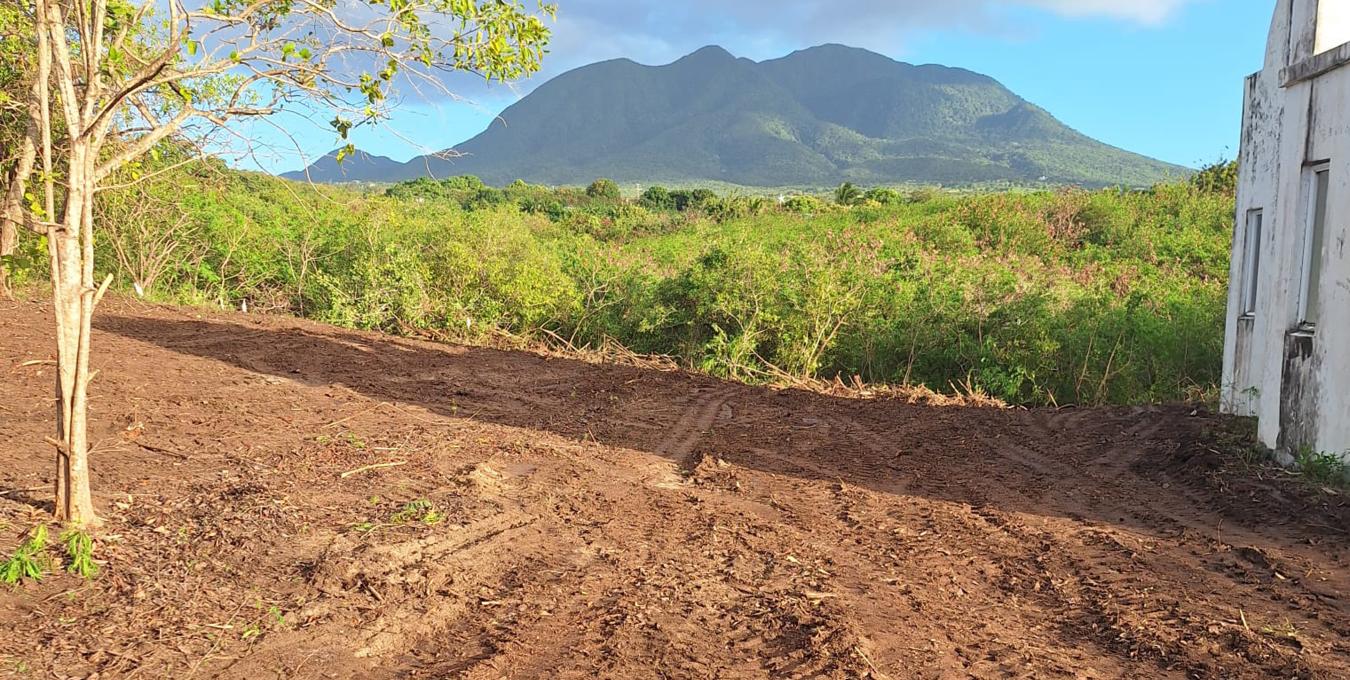 Fixer Upper | Home | Nevis