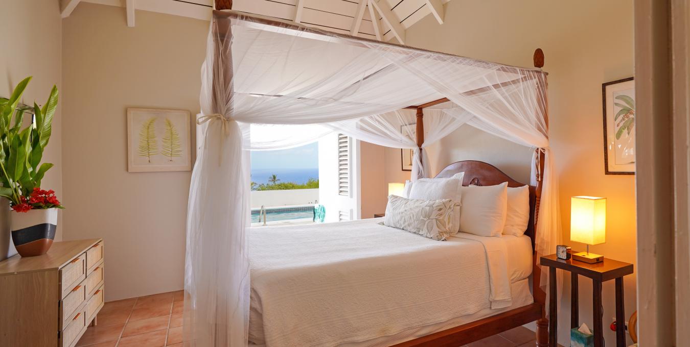 Morning Glory Morning Glory