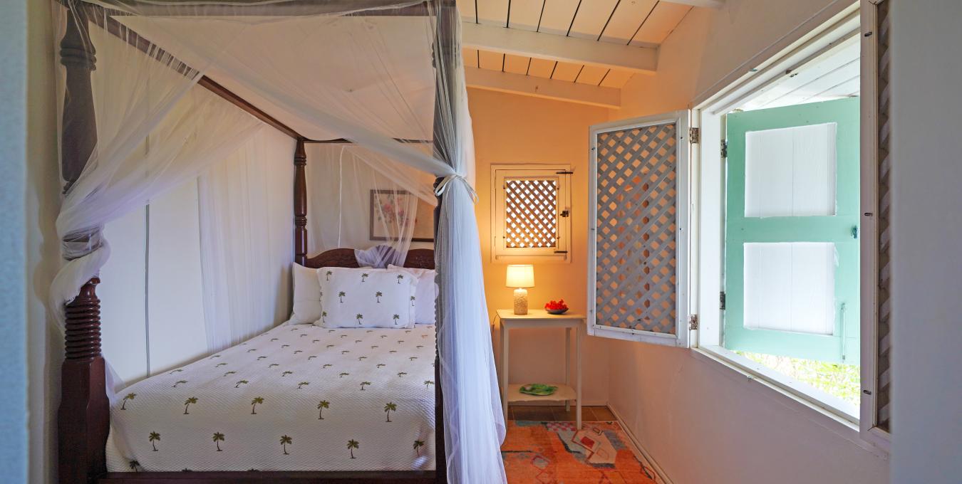 Morning Glory Morning Glory