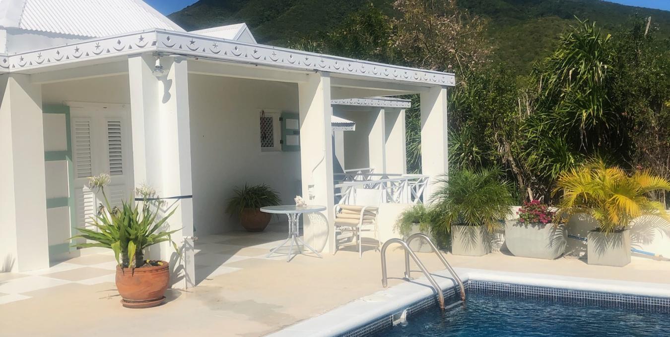 Morning Glory Morning Glory