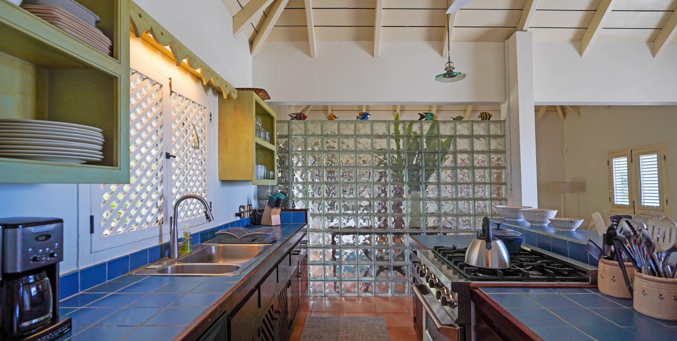 Morning Glory Morning Glory