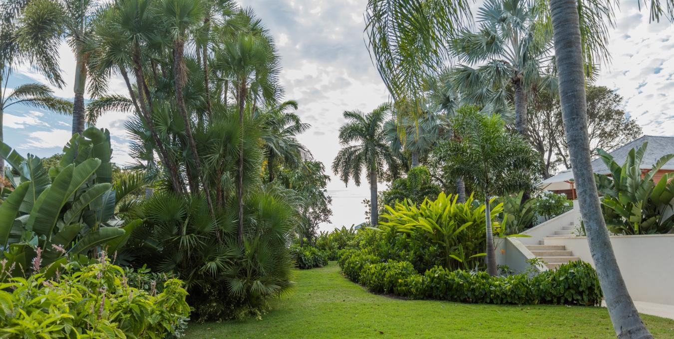 Le Mangabey - Four Seasons Resort